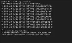 ping in terminal on MacOS ping in terminal on MacOS