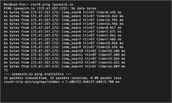 ping in terminal on MacOS