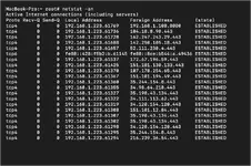 netstat -an in terminal on MacOS